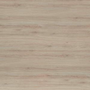 MS 466 SC04